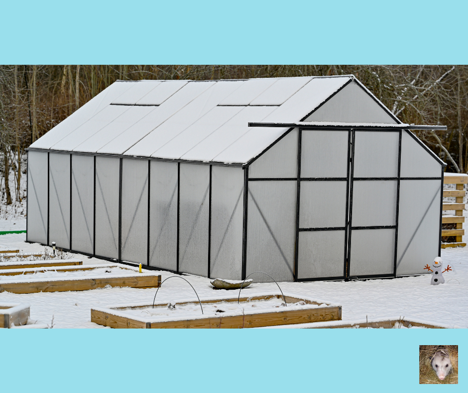Cold Hardy Vegetables For Winter Harvests in Zone 5 &amp; 6 