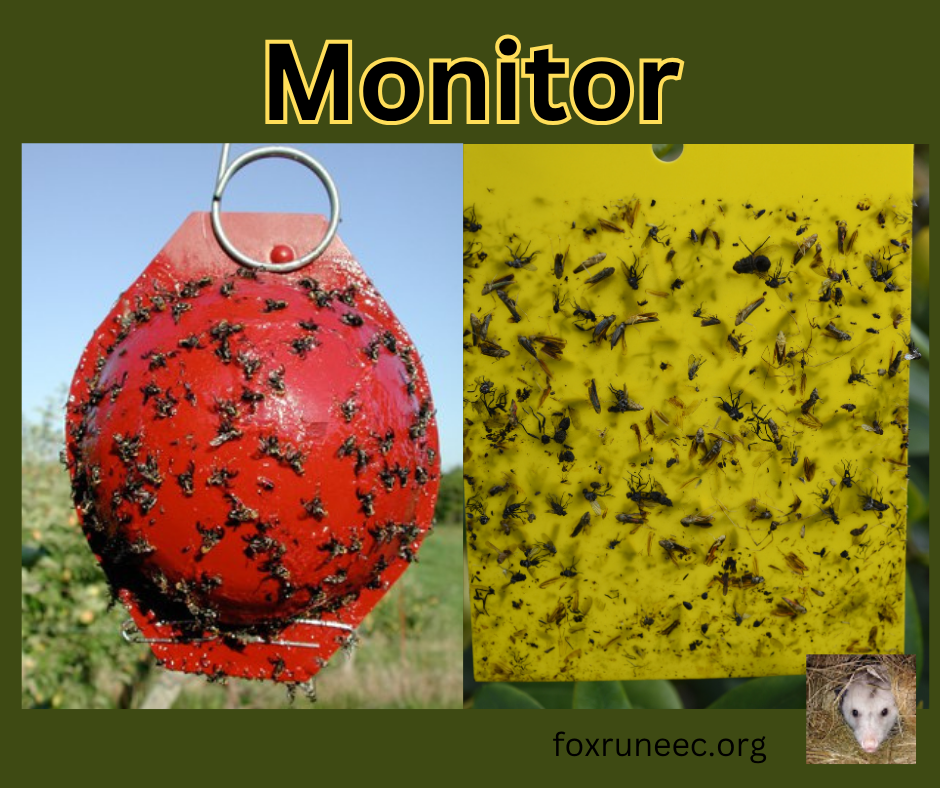 monitoring apple pests