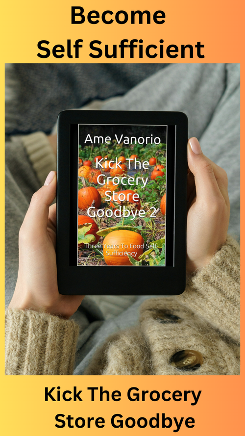 How To Buy Cheap Land For Homesteading How To Find It And What To