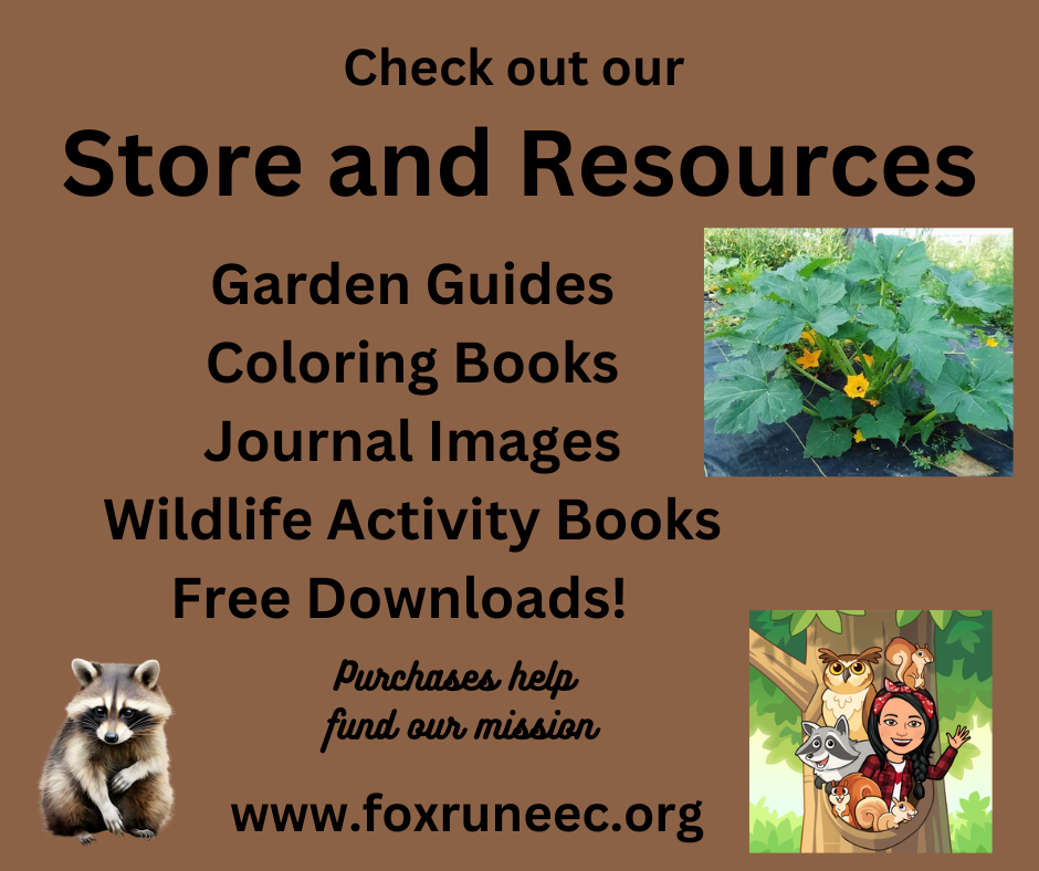 Get Rid of Squash Bugs Organically — Fox Run Environmental Education Center