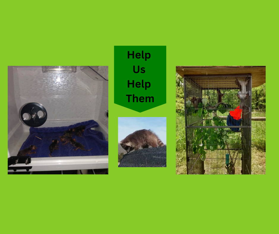 Help Us Help Them (Facebook Post).png