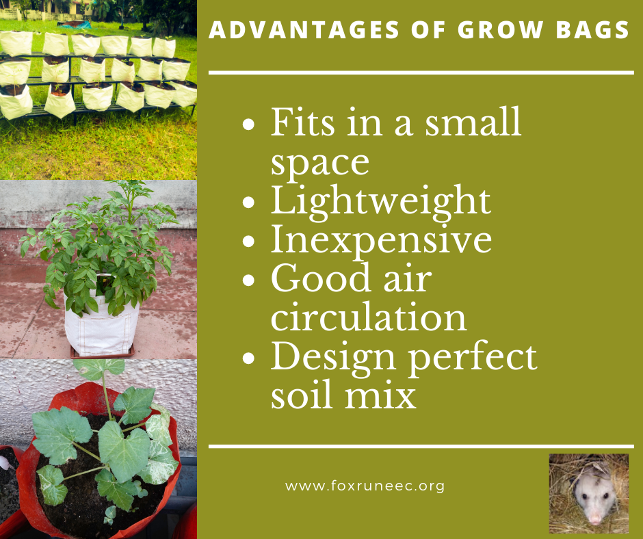 6 imaginative ways to use grow bags in small spaces