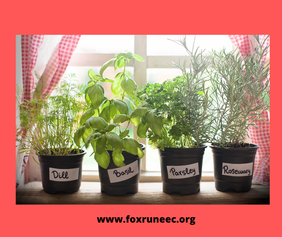 Air Circulation For Indoor Gardens — Fox Run Environmental Education Center