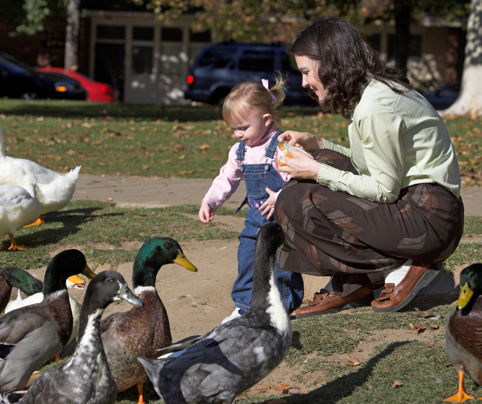 woman feeding duck white bread