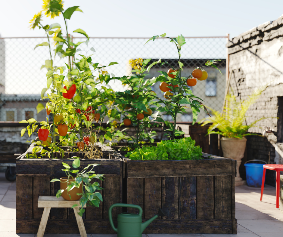Crop Rotation - A Simple Yet Highly Effective Strategy — Fox Run ...