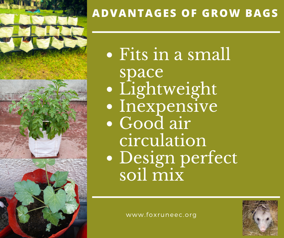 10 Reasons Why You'll Love Gardening with Grow Bags