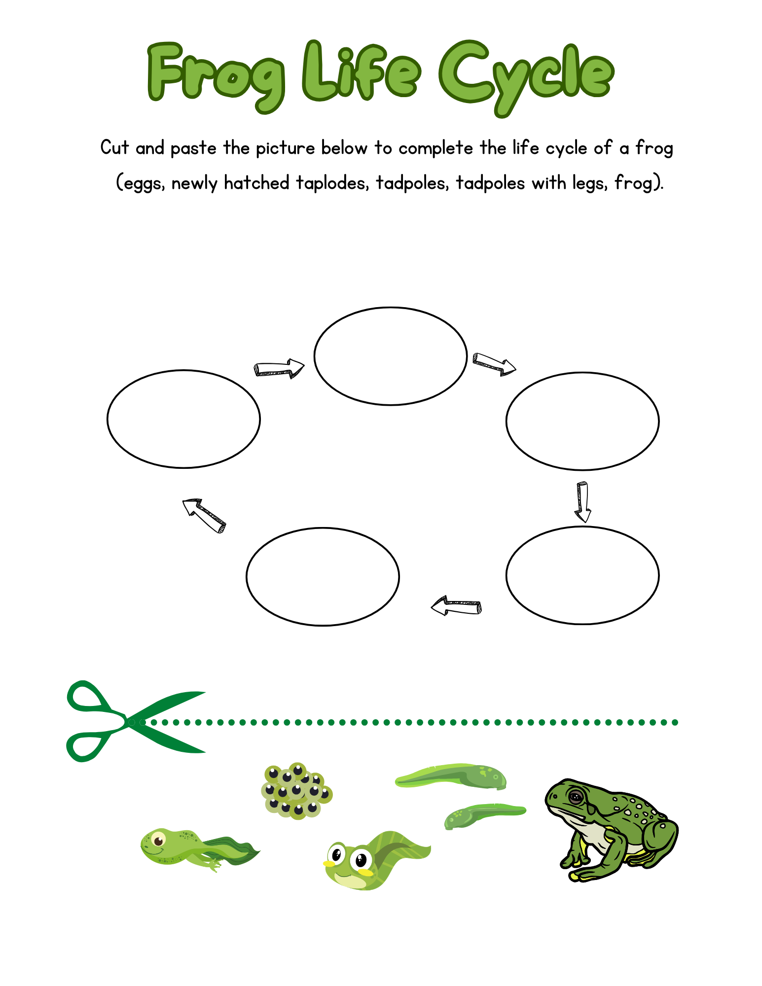 Green Illustrated Frog Life Cycle Worksheet.png