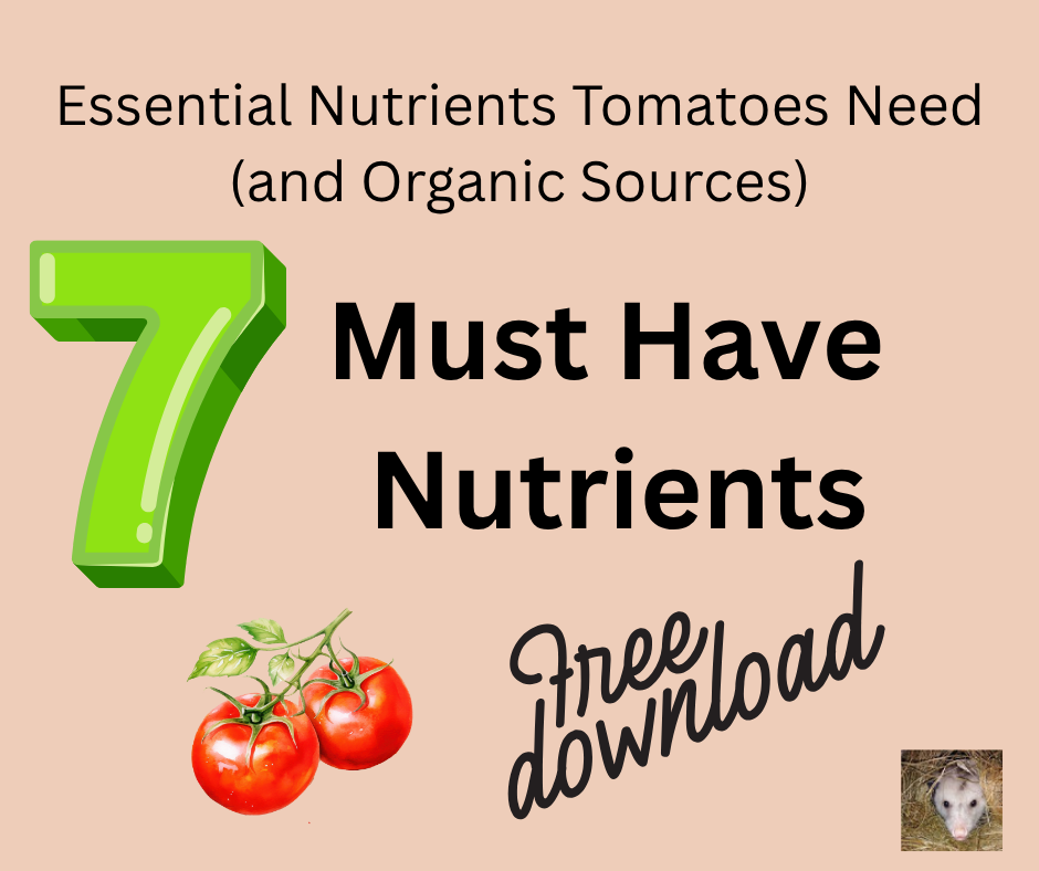 Essential Nutrients Tomatoes Need (and Organic Sources).png