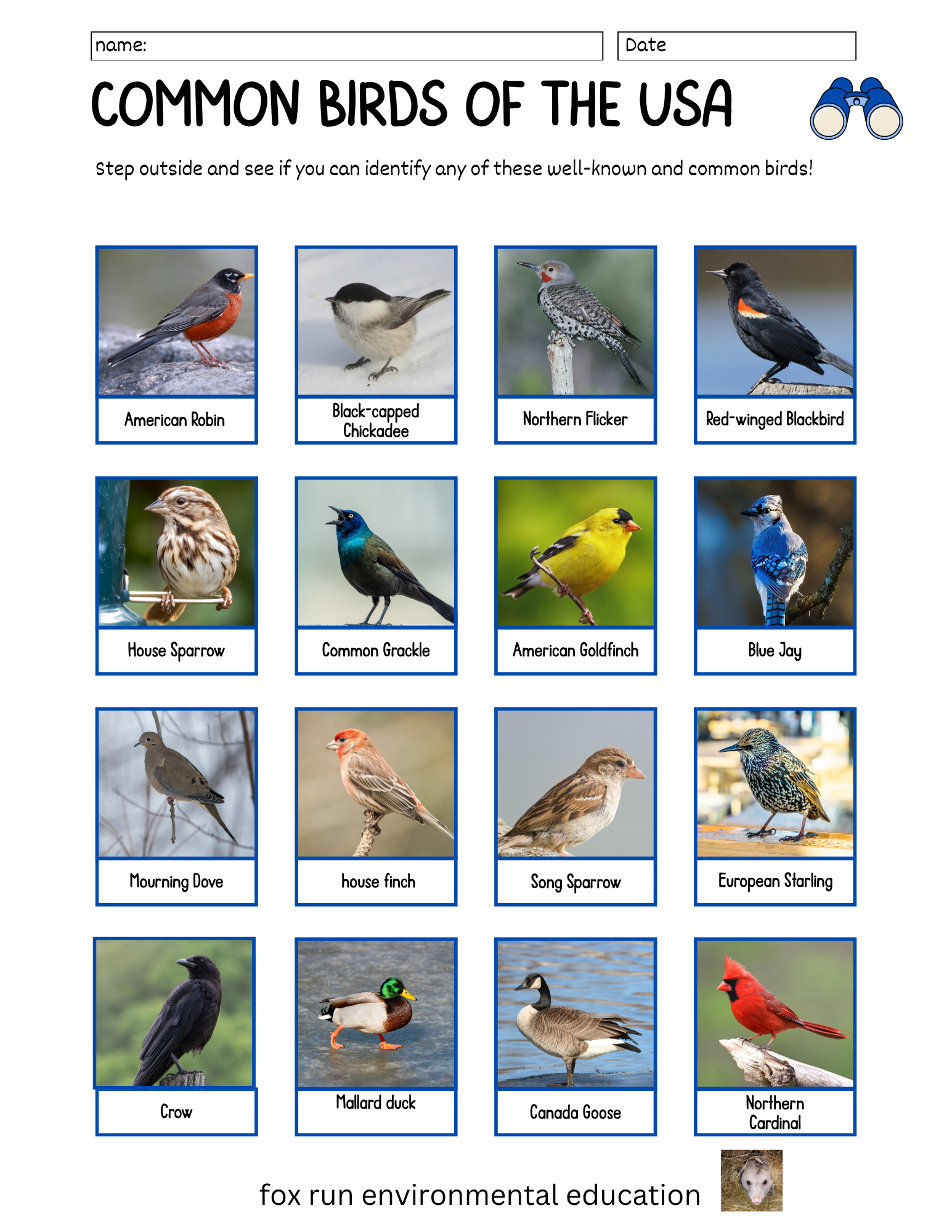 Birdwatching checklists.png
