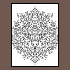 bear A+ (3).png
