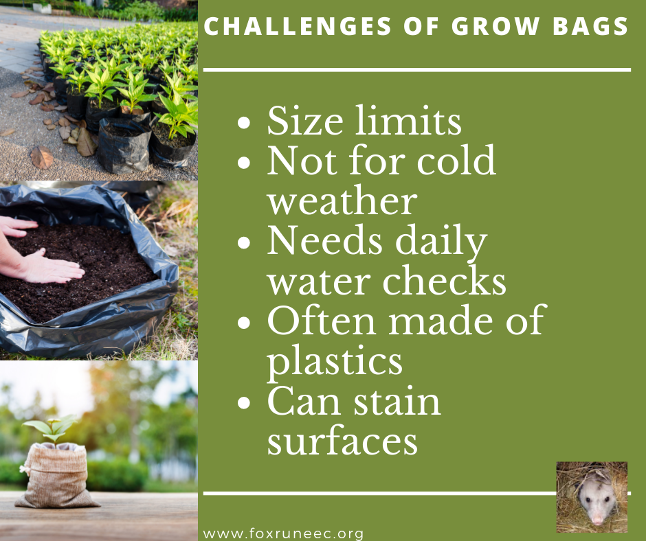 Grow Bags - Problems They Can Solve in the Garden - Tending My Garden