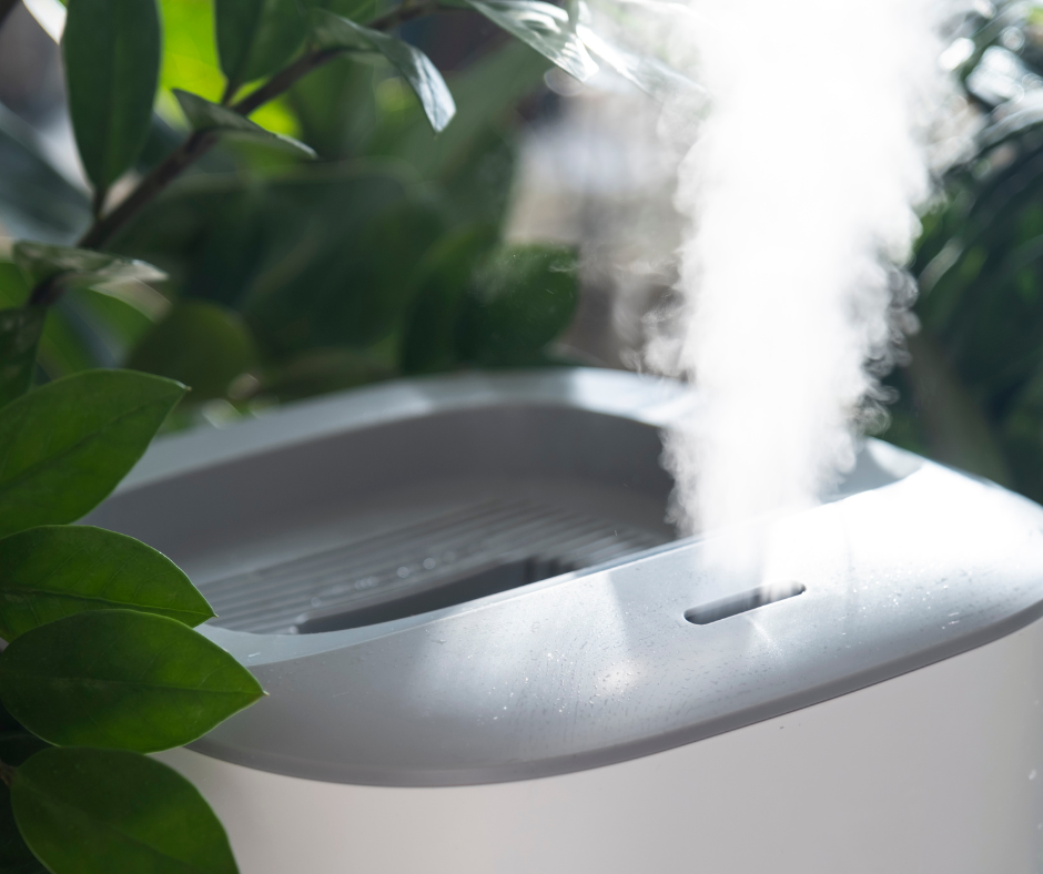 Humidity Guide For Indoor Plants — Fox Run Environmental Education Center