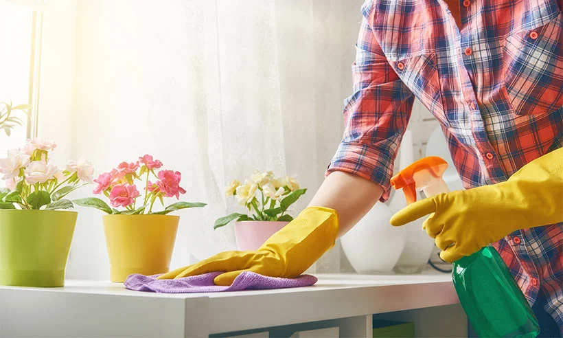 What is spring cleaning in Chicago?