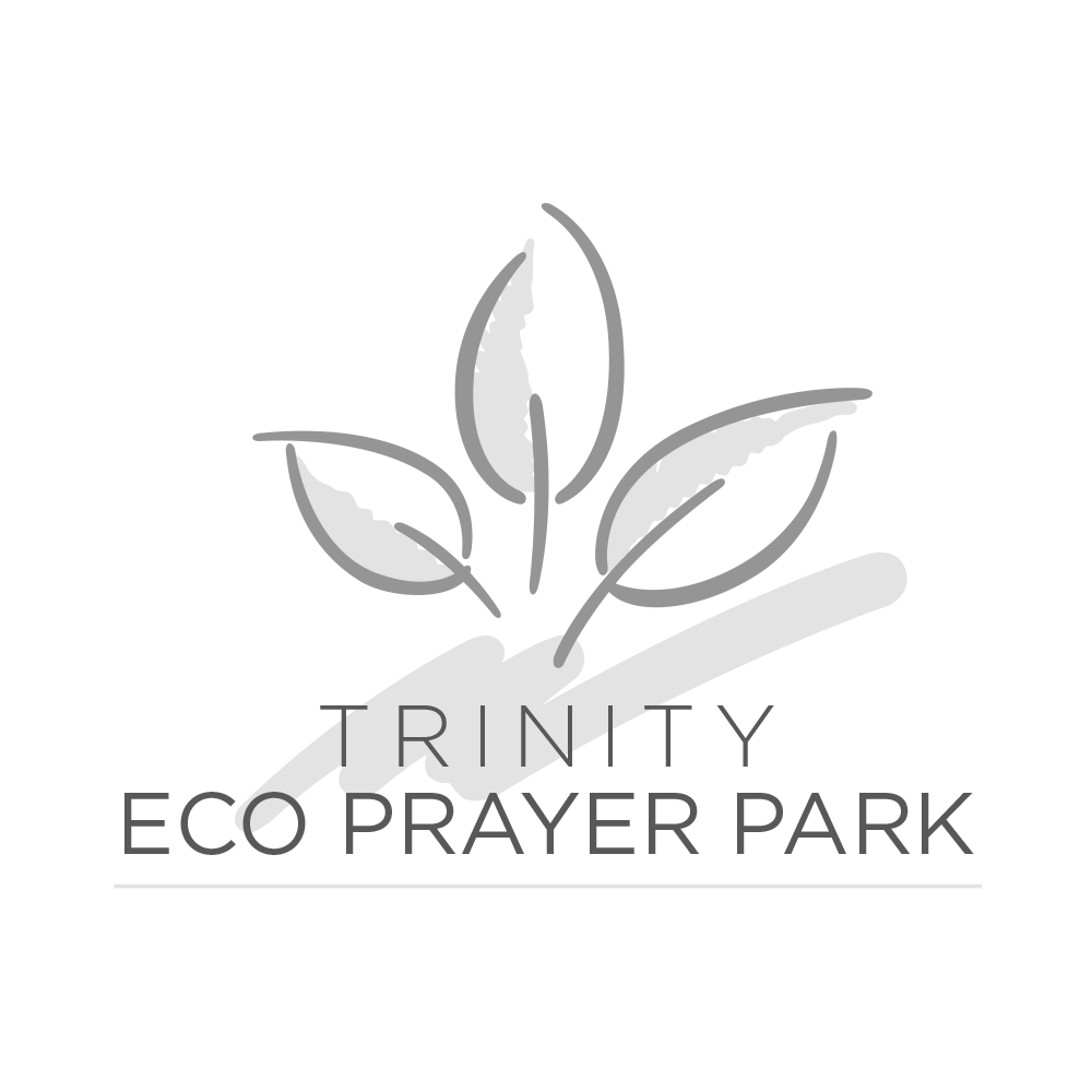 logo-trinity.png