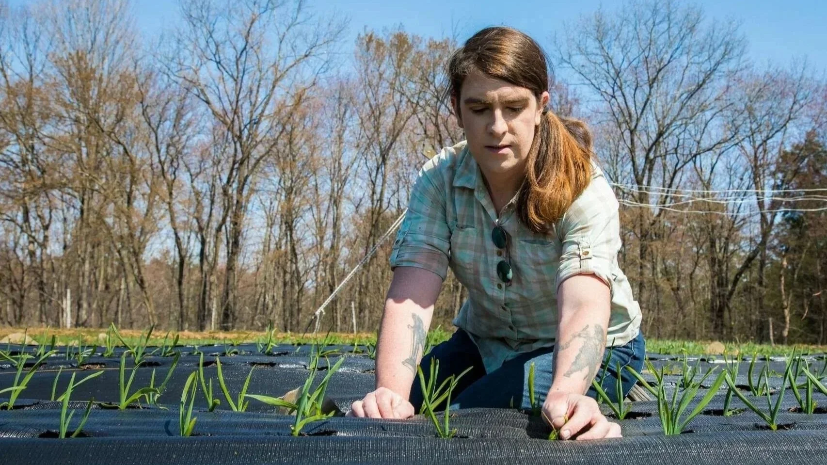A woman with tattoos on her arms, wearing a plaid shirt and sunglasses hanging from her collar, is kneeling in a field of young green plants covered with black plastic mulch, with a background of leafless trees and a blue sky.