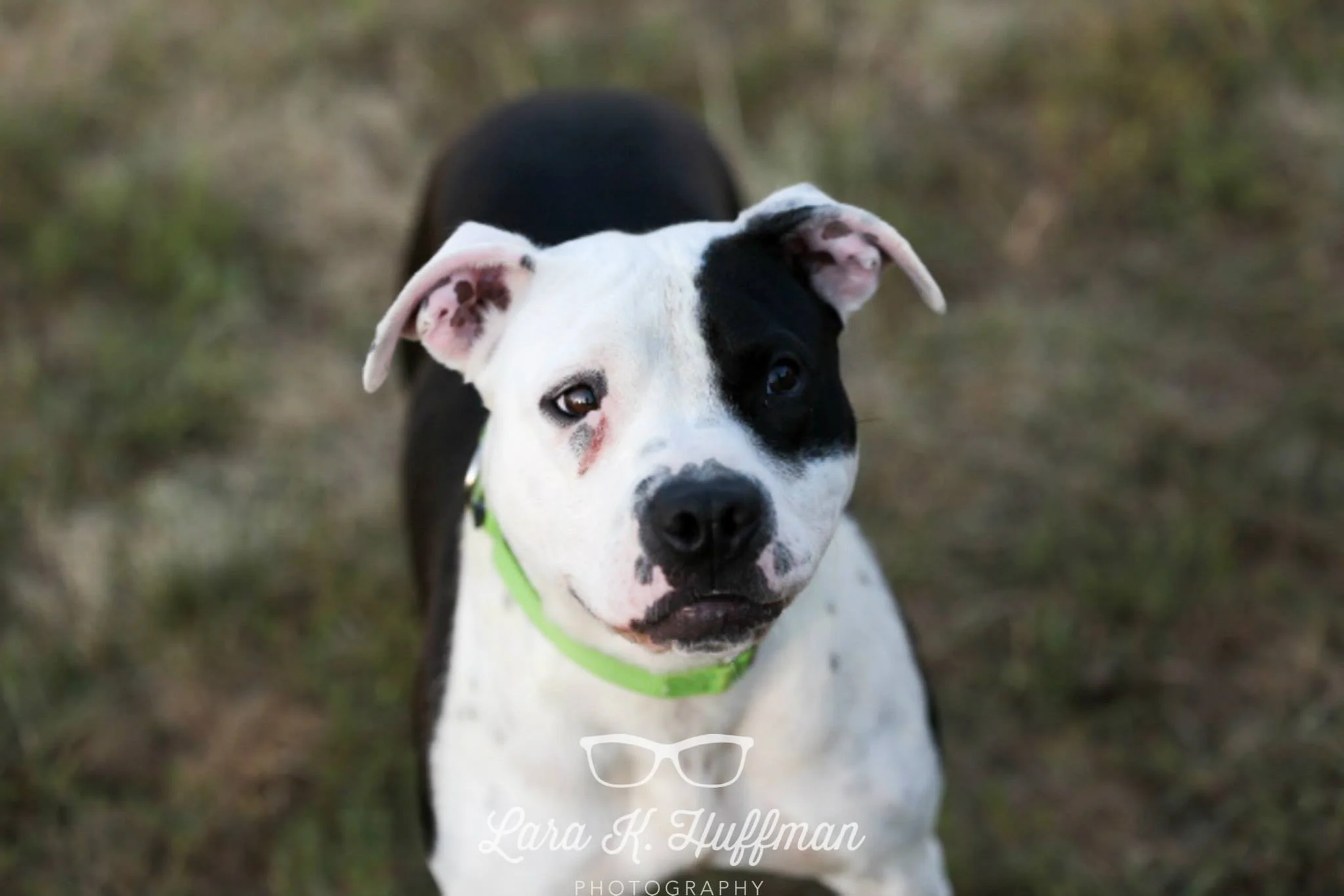 All images copyright 2015 Lara K. Huffman Photography. 