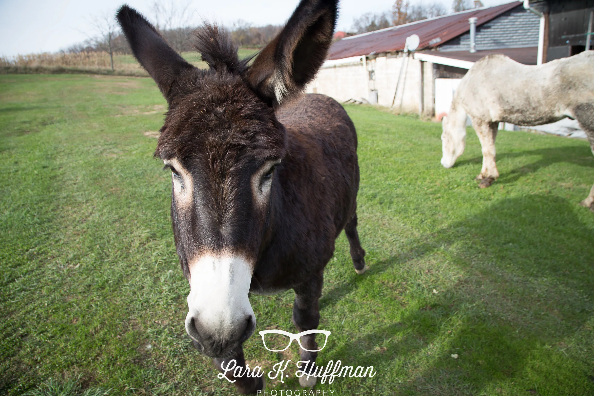 Look at that face! <3