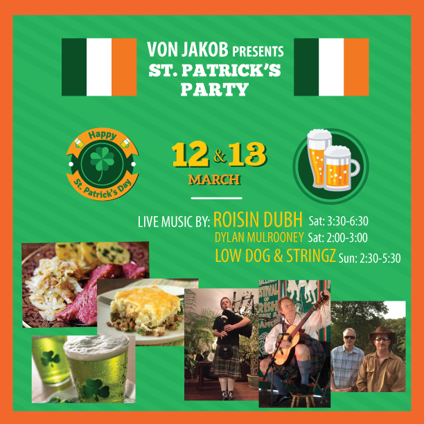 St. Patrick's Day Festival featuring Low Dog & Stringz