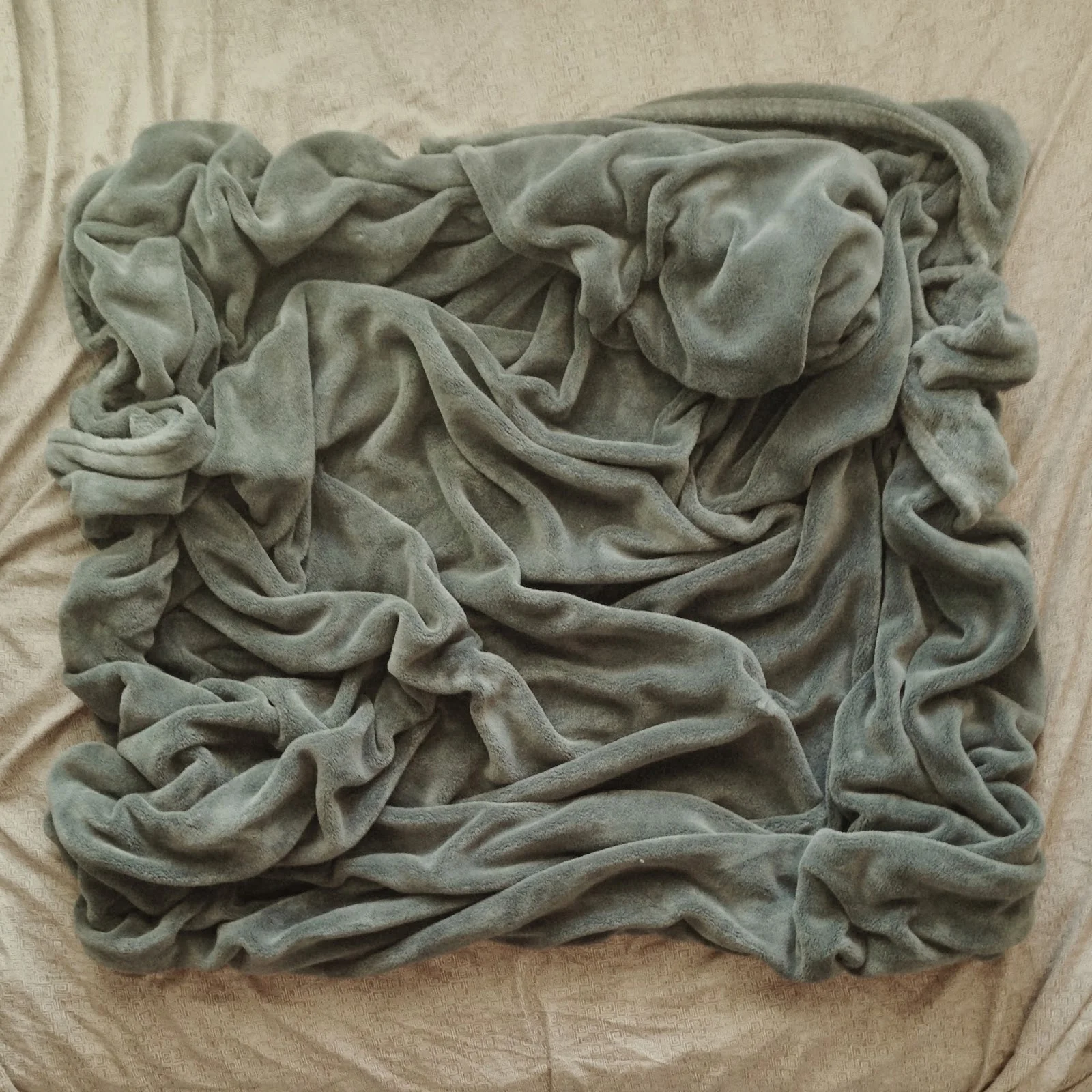 Bedview No. 4 (Dec. 11, 2014)