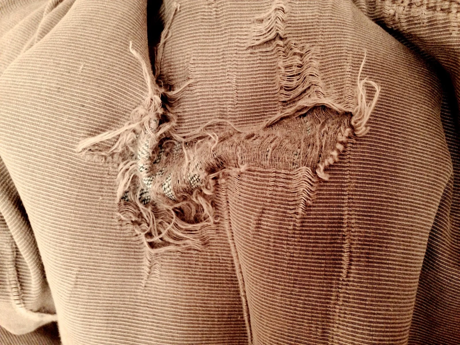 Bedview No. 6 (Jan. 29, 2015)