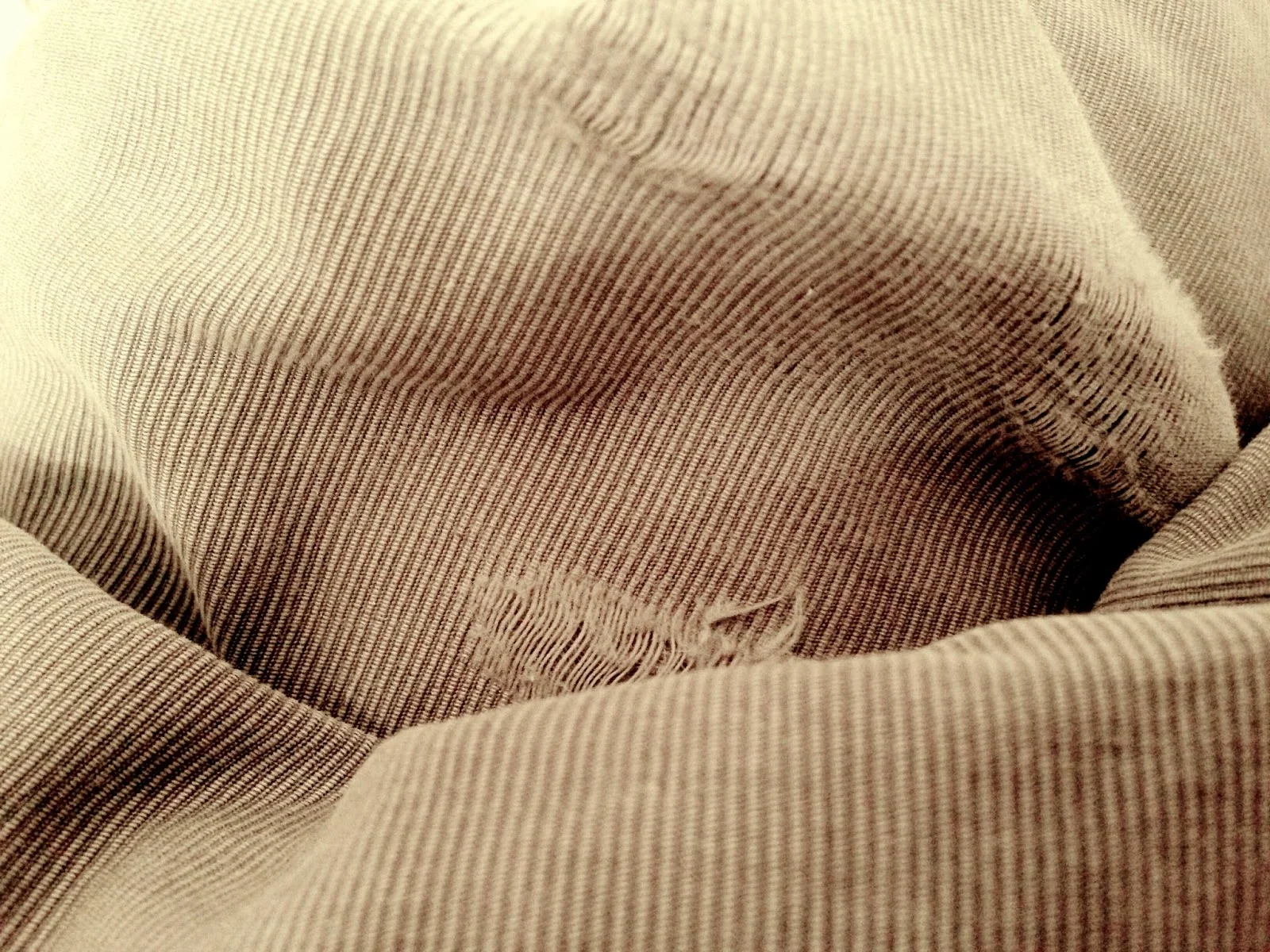 Bedview No. 5 (Jan. 29, 2015)