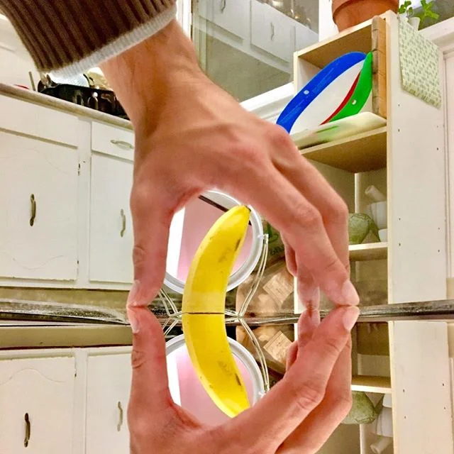 how to grow a banana