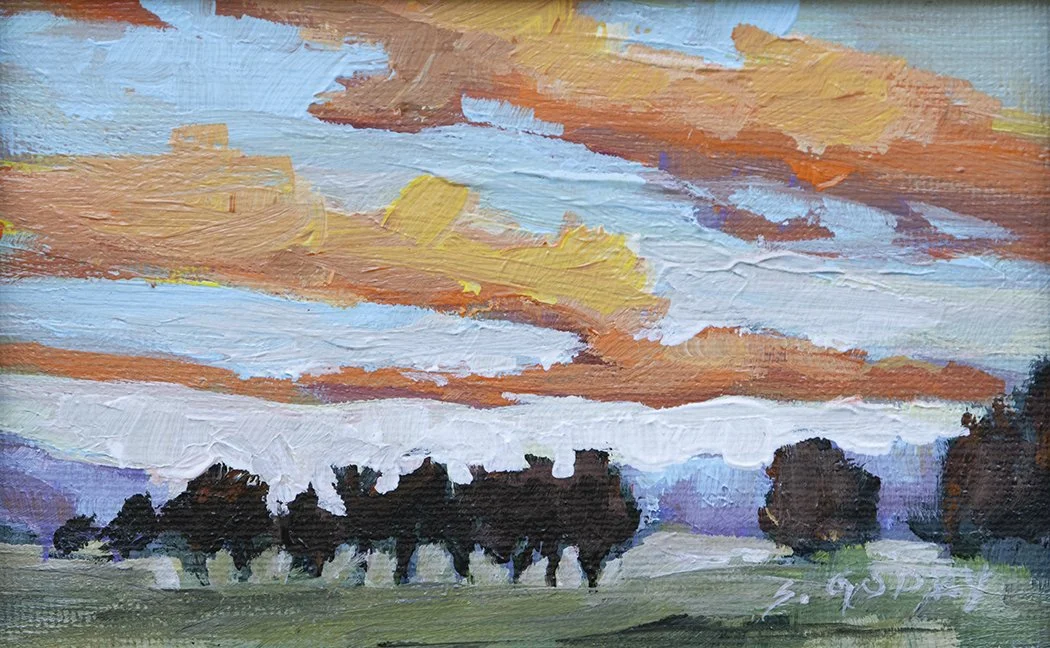 Evening Cloud Study