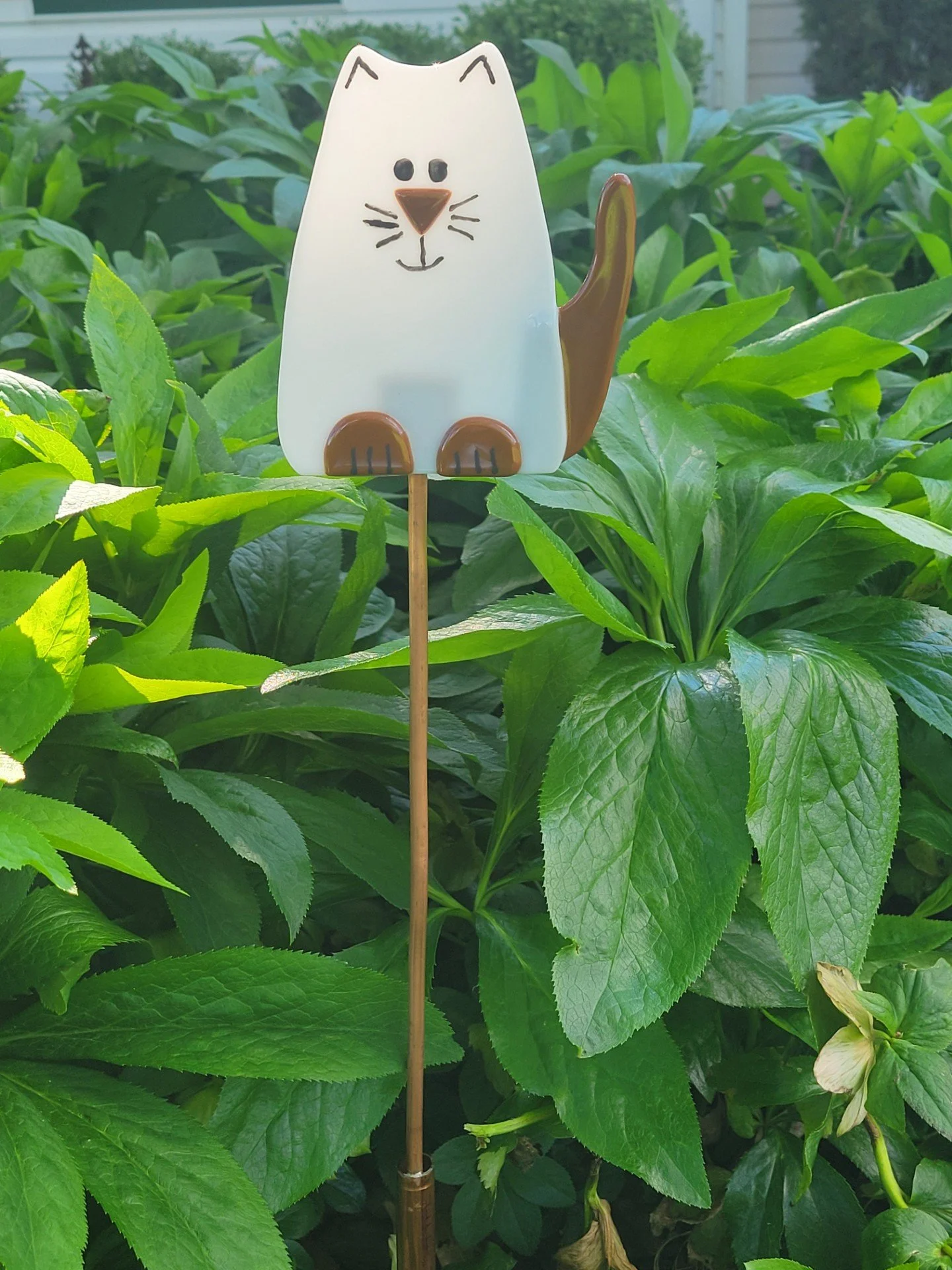 Garden Cat