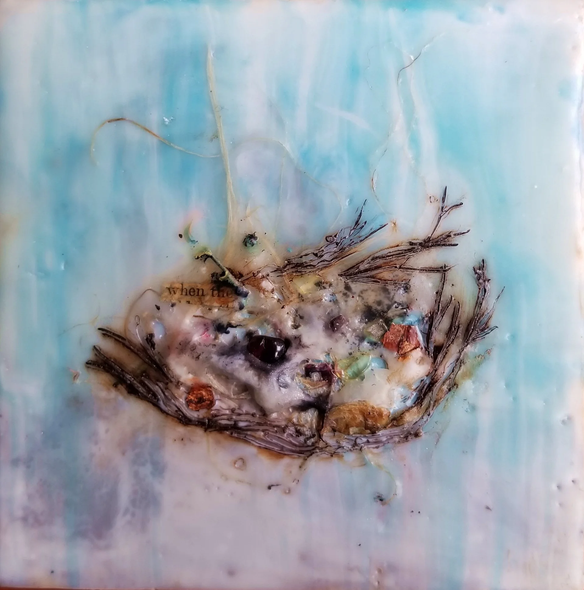 Nest I