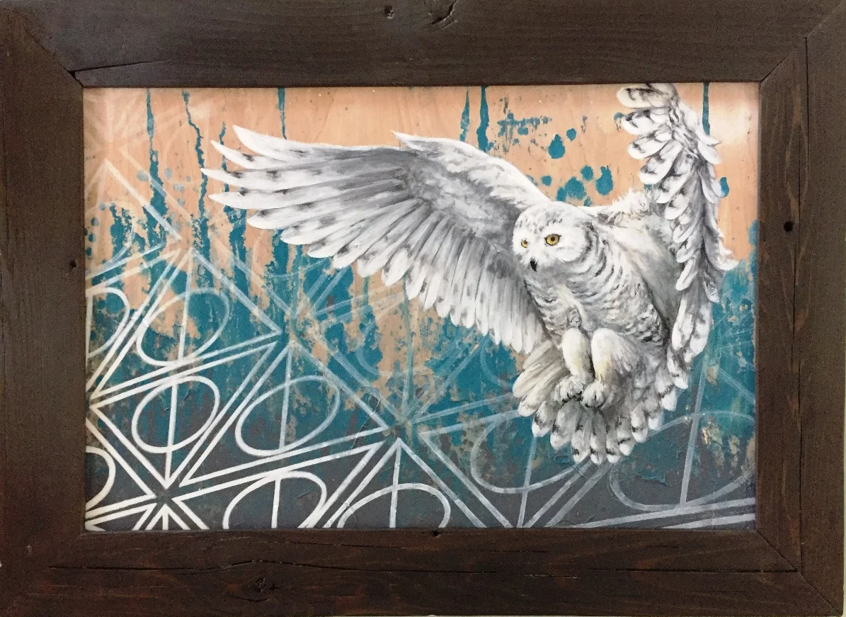 Hedwig 30x22 1100.JPG