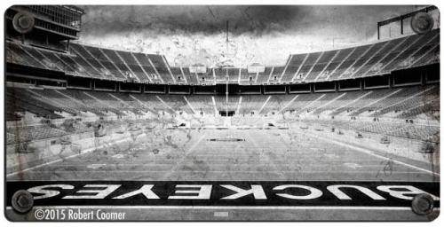 Ohio State Football Mini