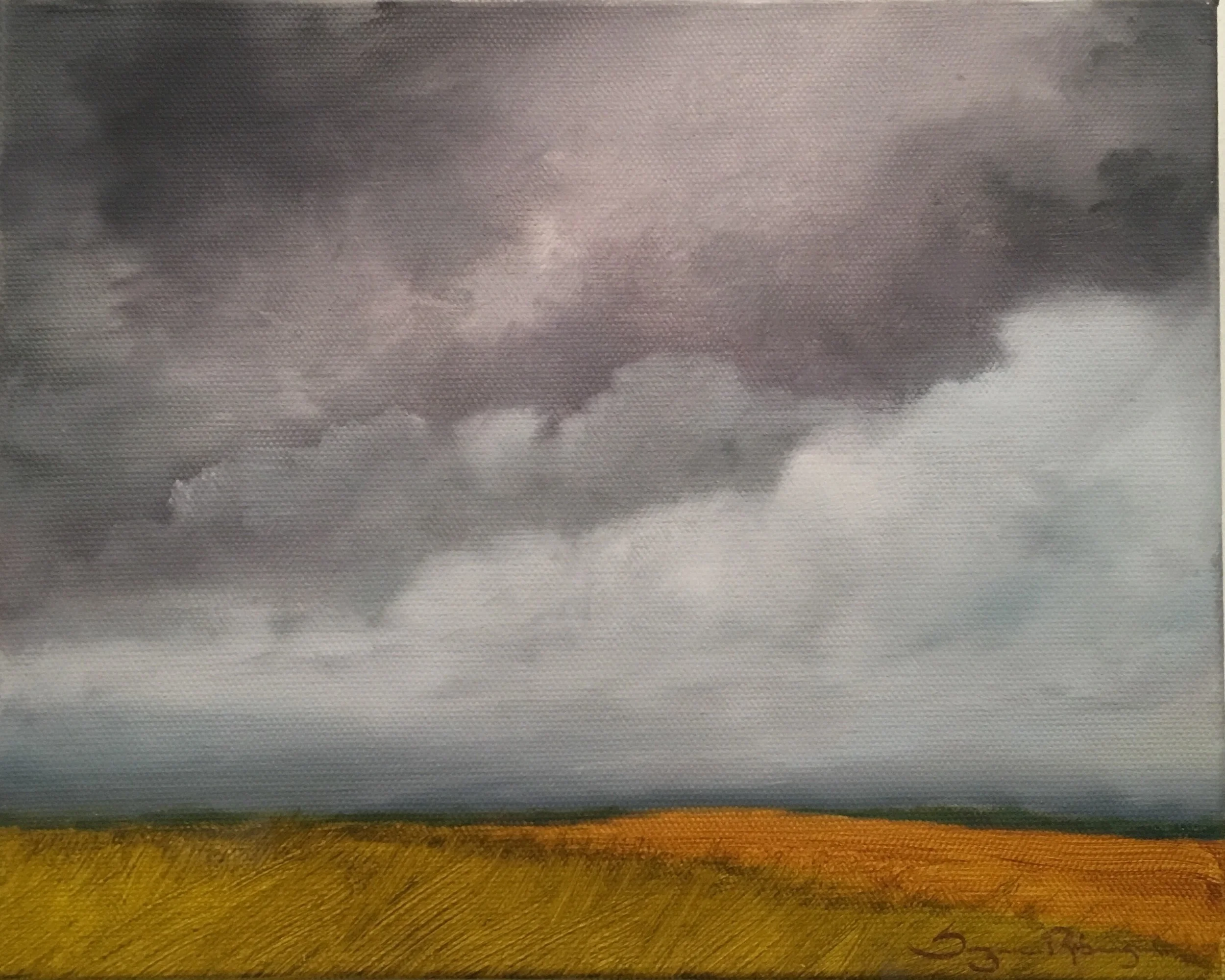 SR Oncoming storm ooc 10x8 395.JPG