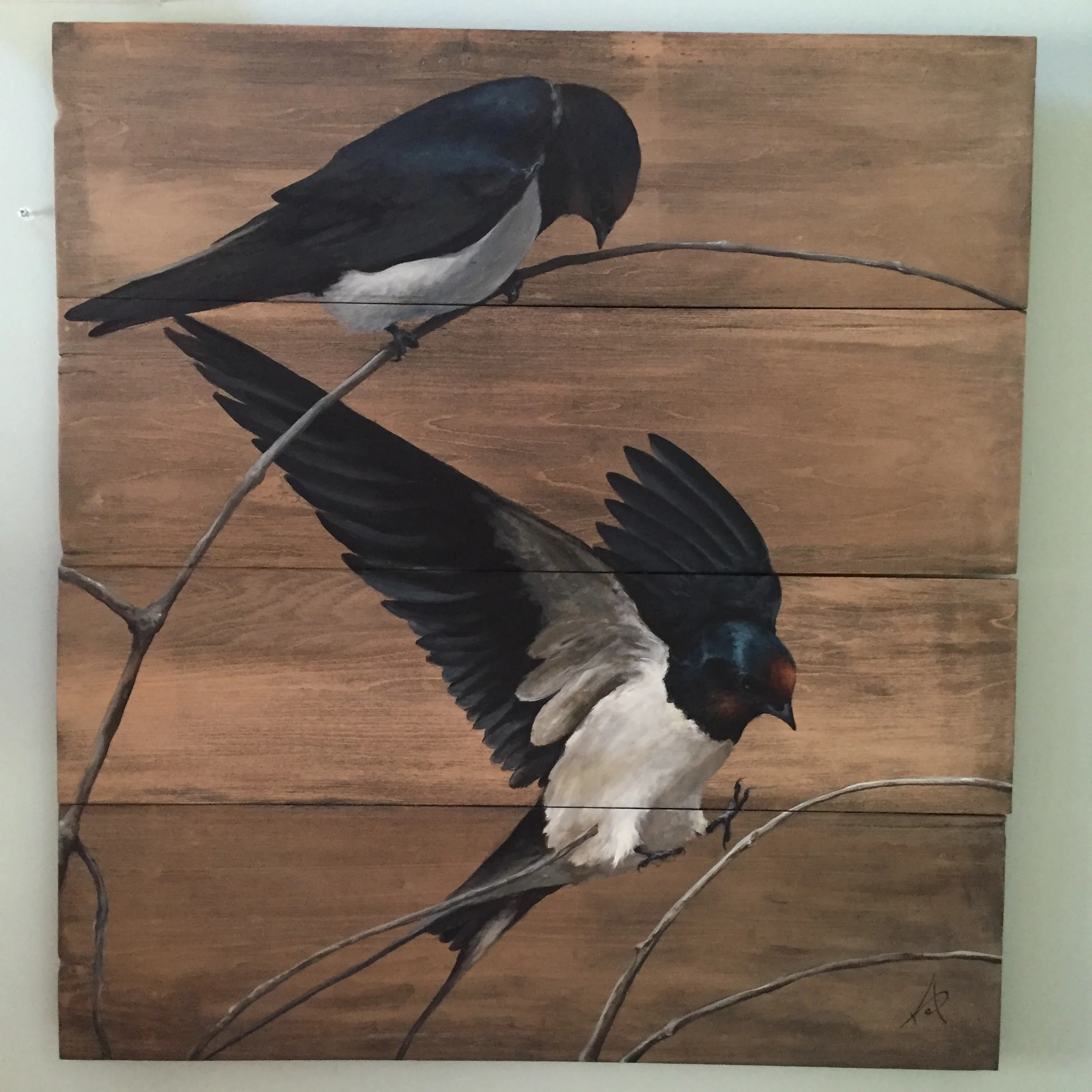 Kolp_The Swallows_AW_38x35_2000.JPG