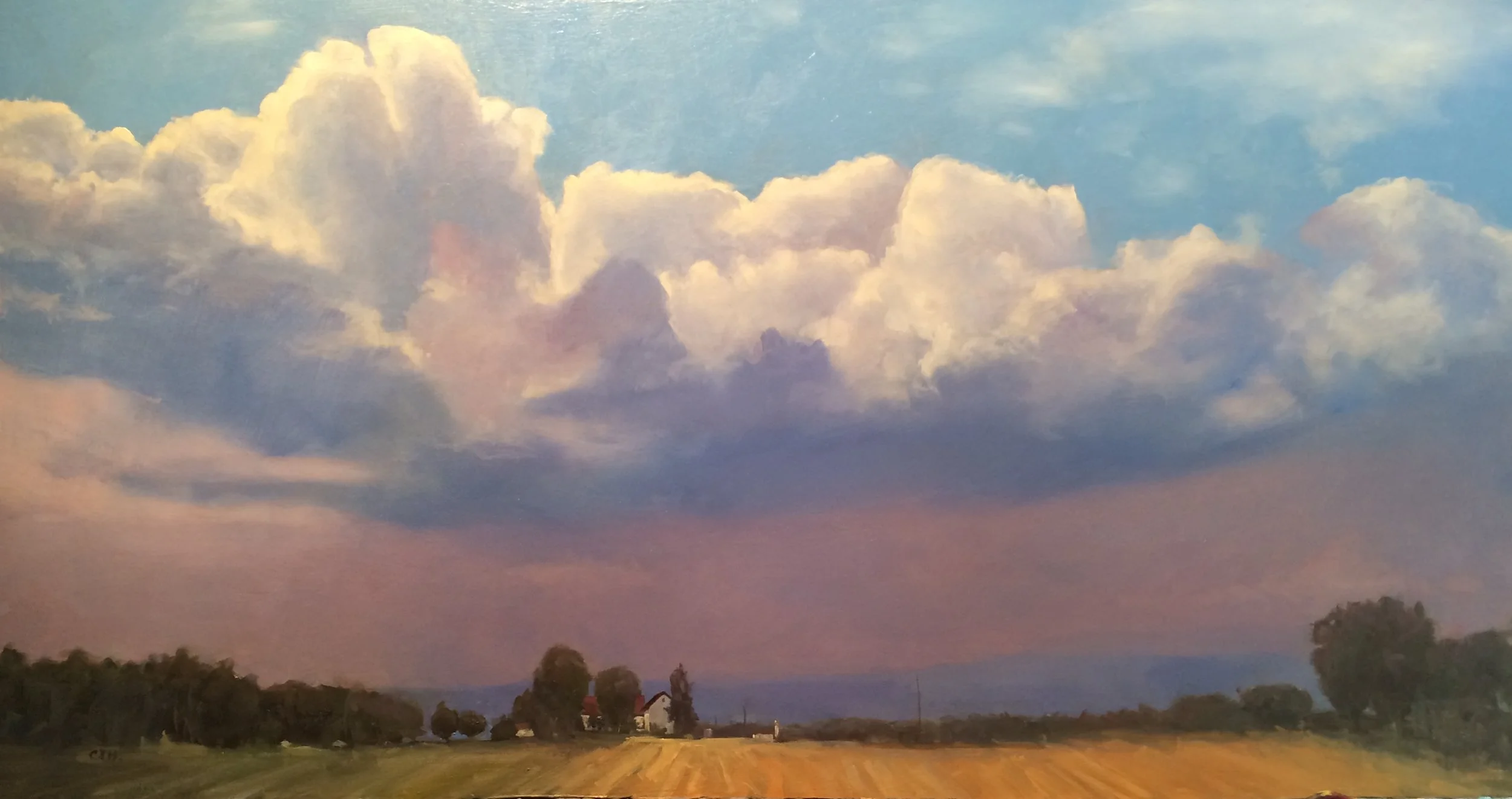 Carolyn Heffelfinger Illuminated 15x30 OoB 900.JPG