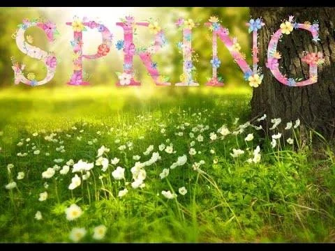 Spring Psychic Fair