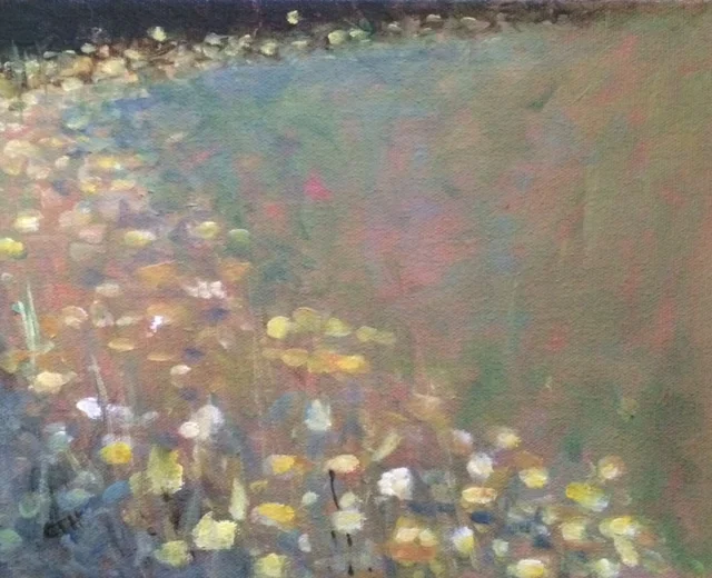 Black Eyed Susans