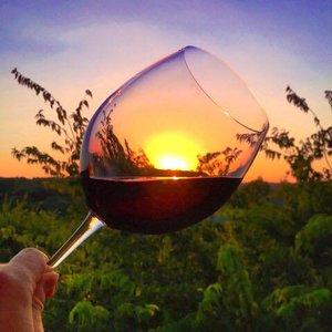 Summer Solstice Psychic Fair
