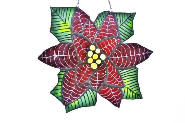 Poinsettia