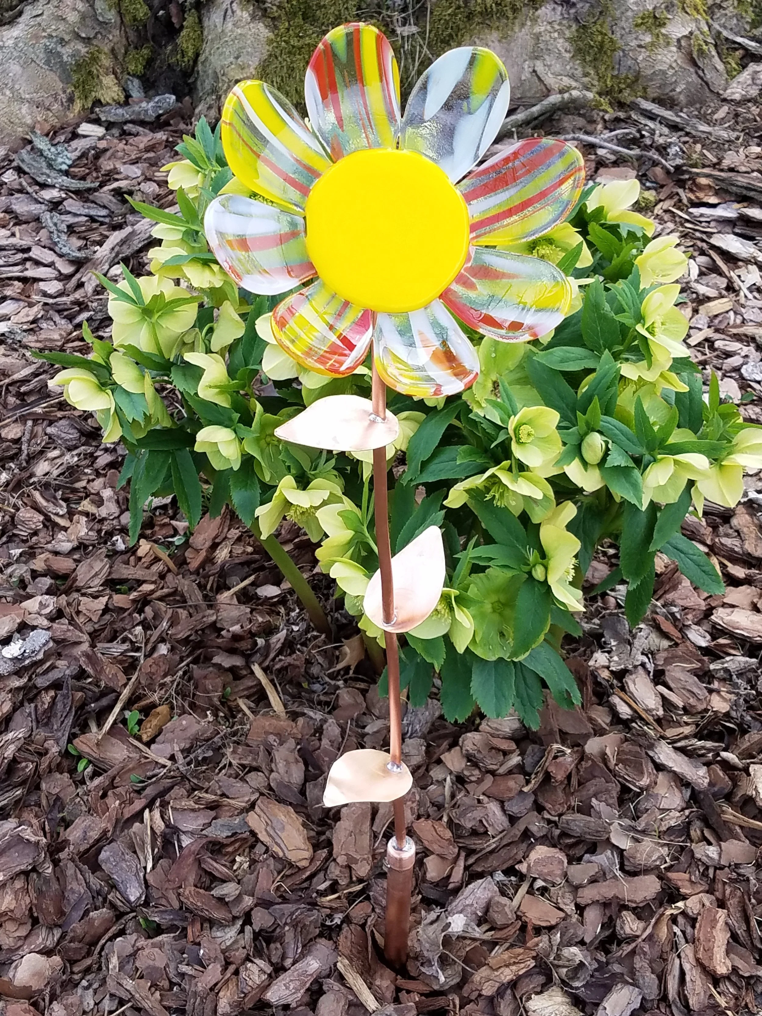 Garden Flower