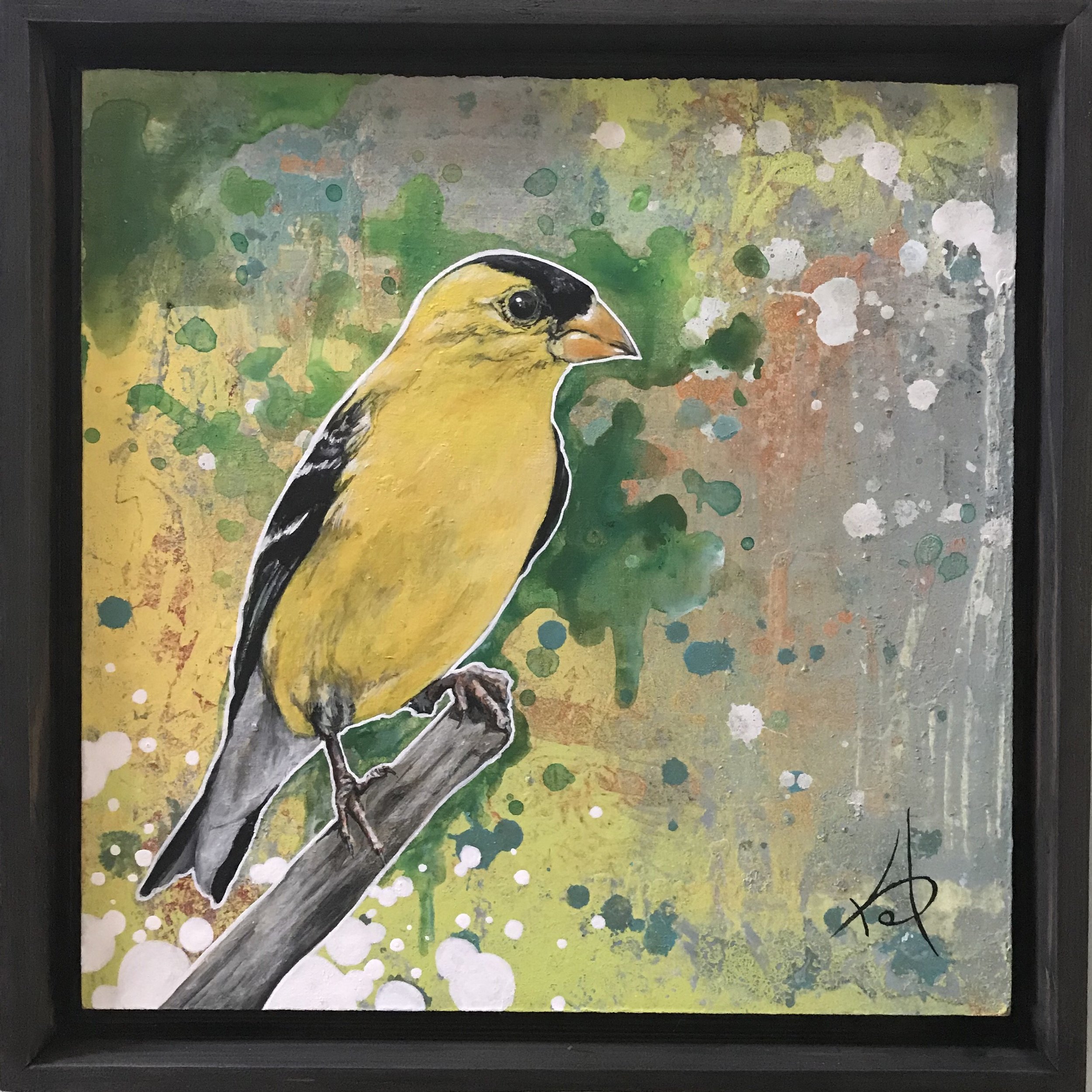 Goldfinch