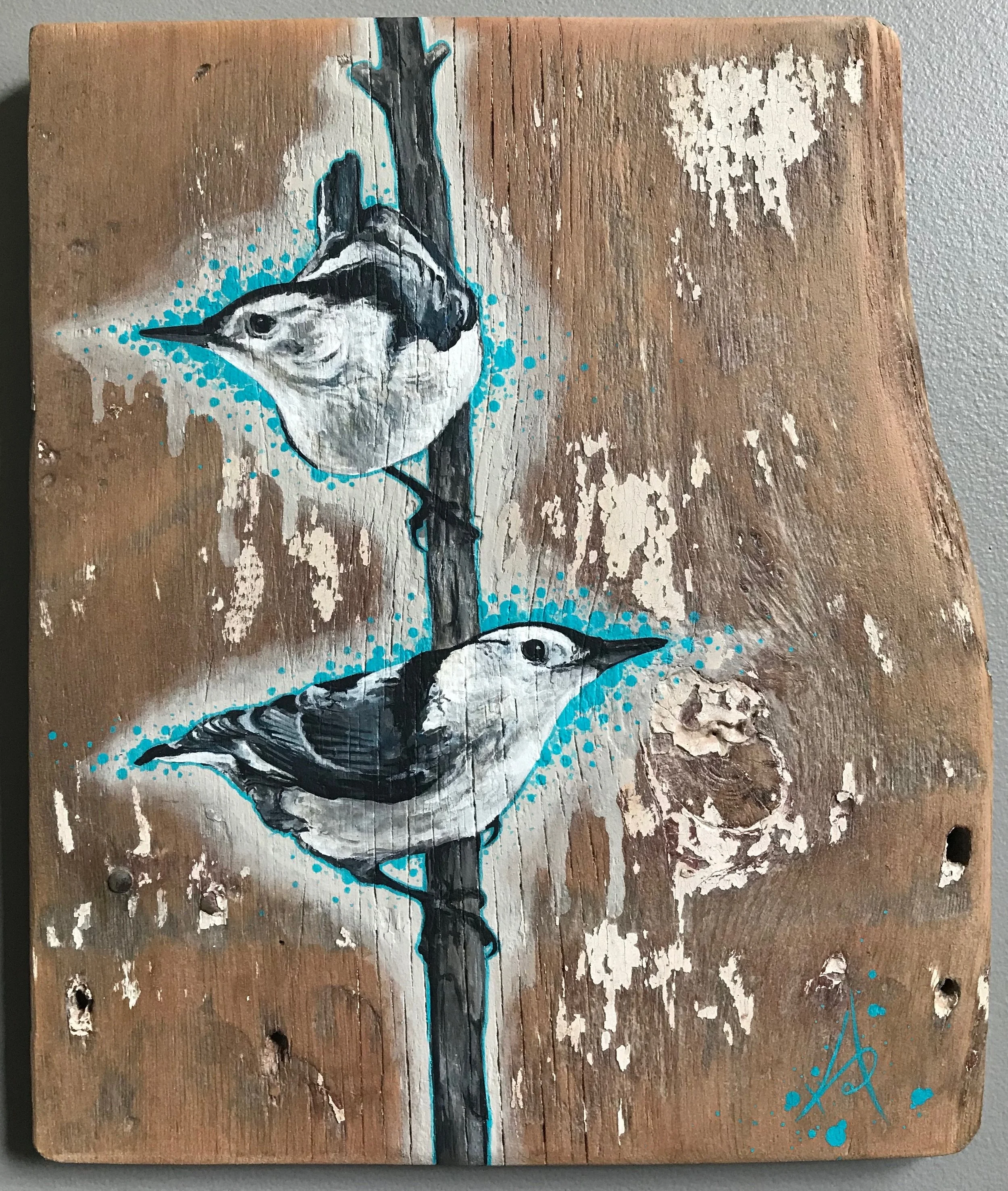 Nuthatches