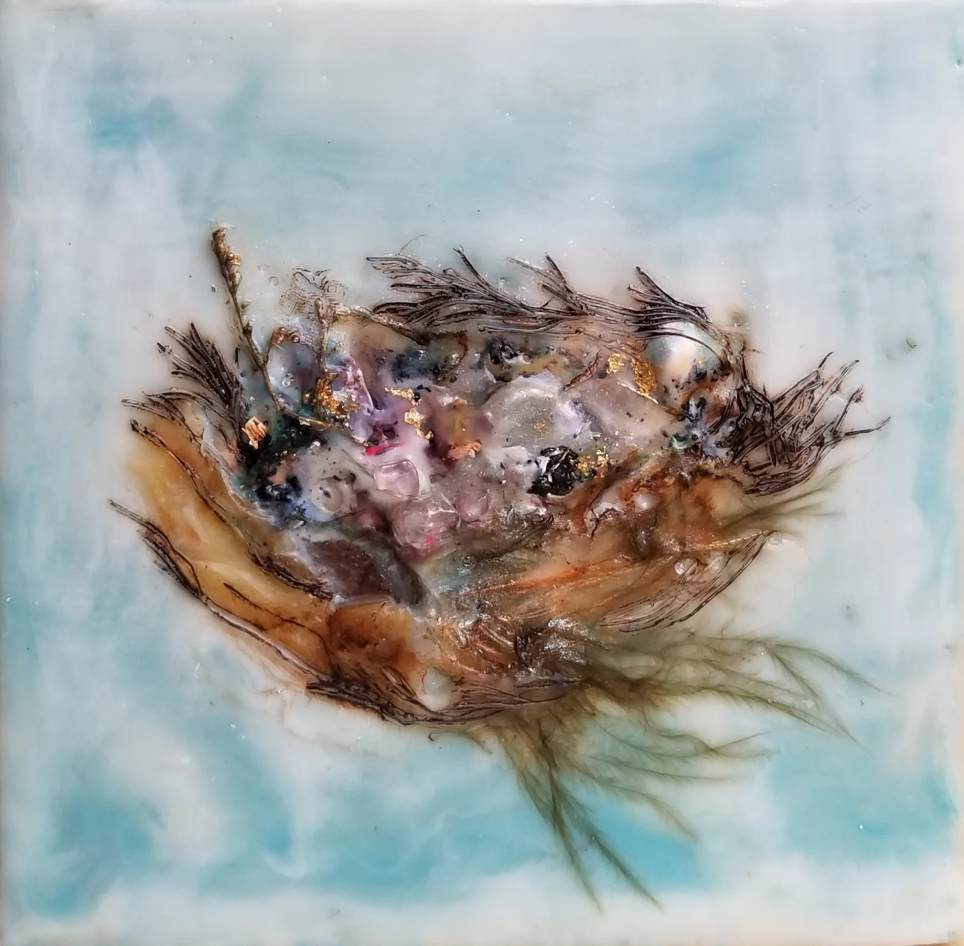 Jacob_Nest3_4x4_85.jpg