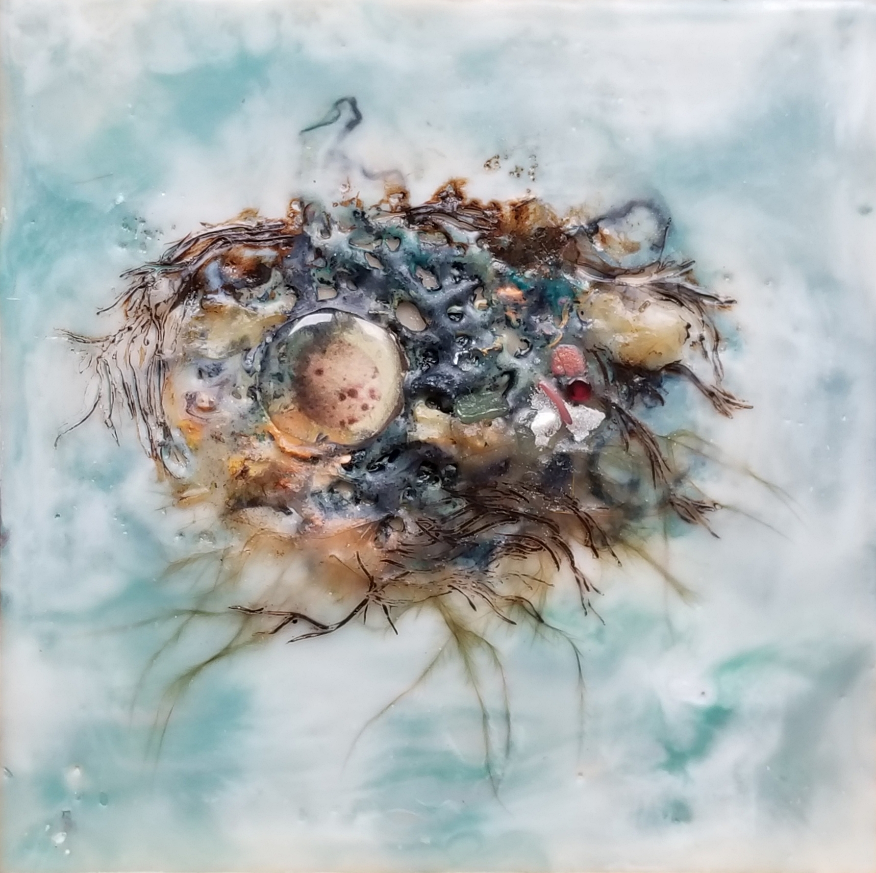 Jacob_Nest6_4x4_85.jpg