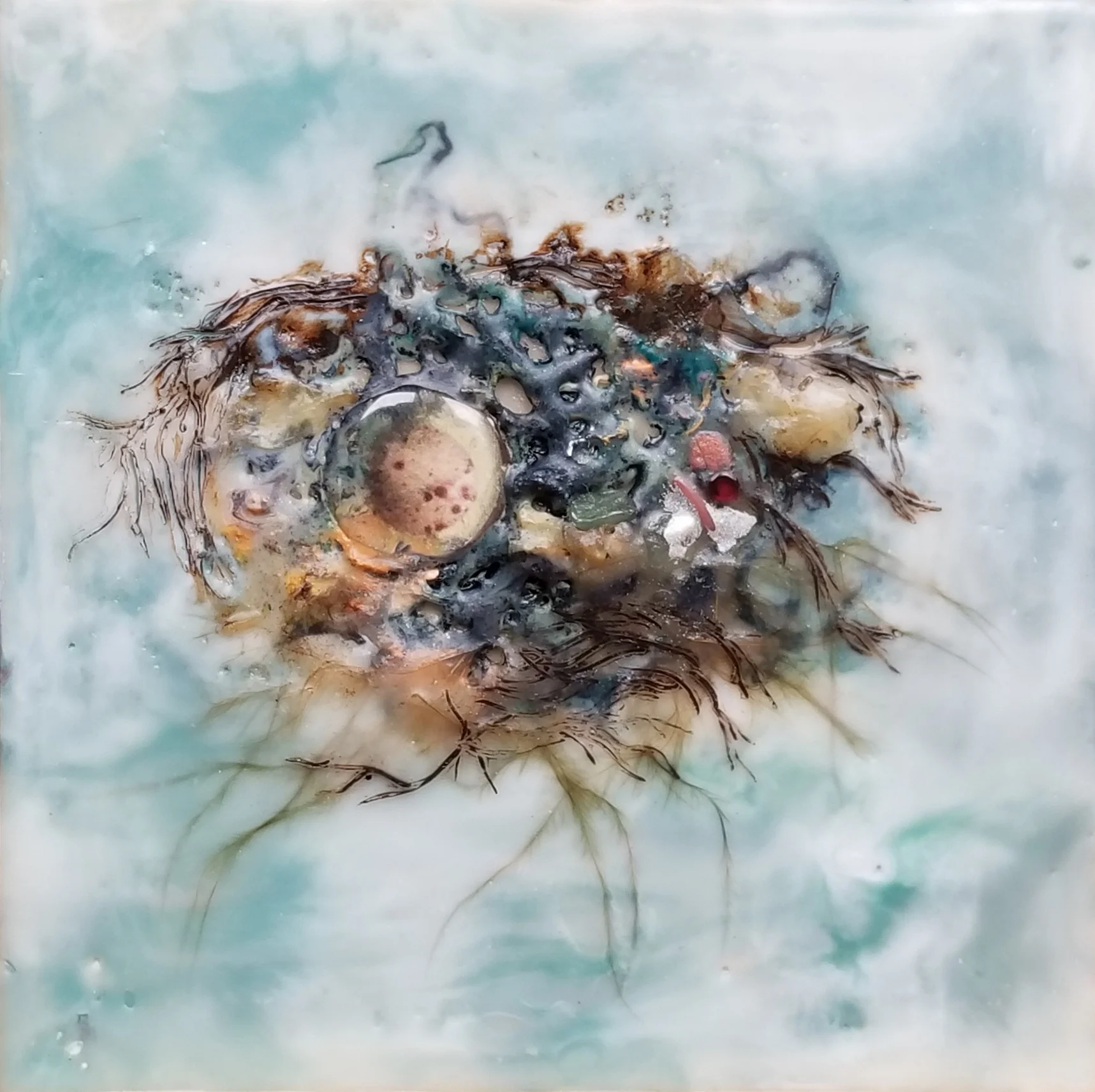 Jacob_Nest6_4x4_85.jpg