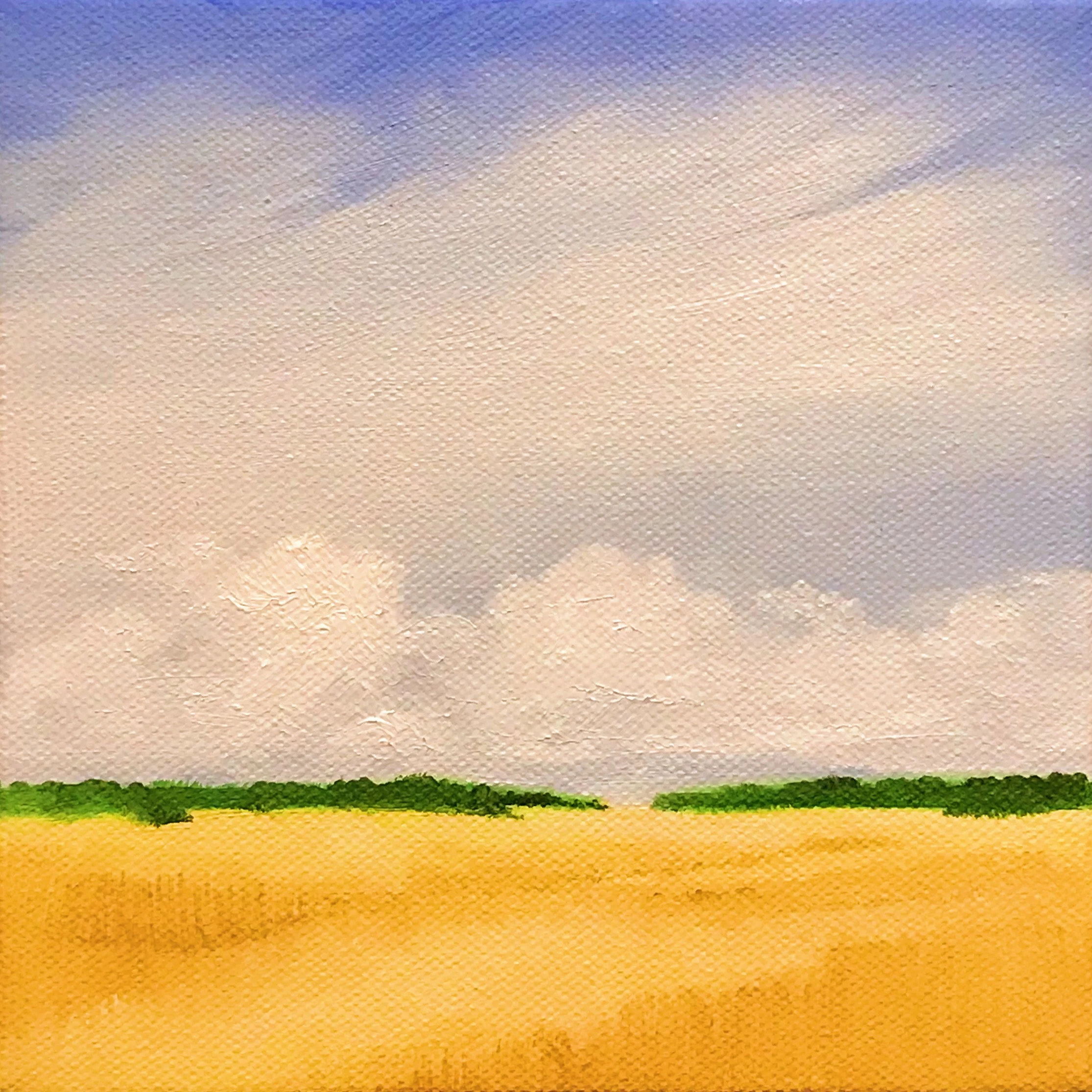 Summer's Heat in Ohio III