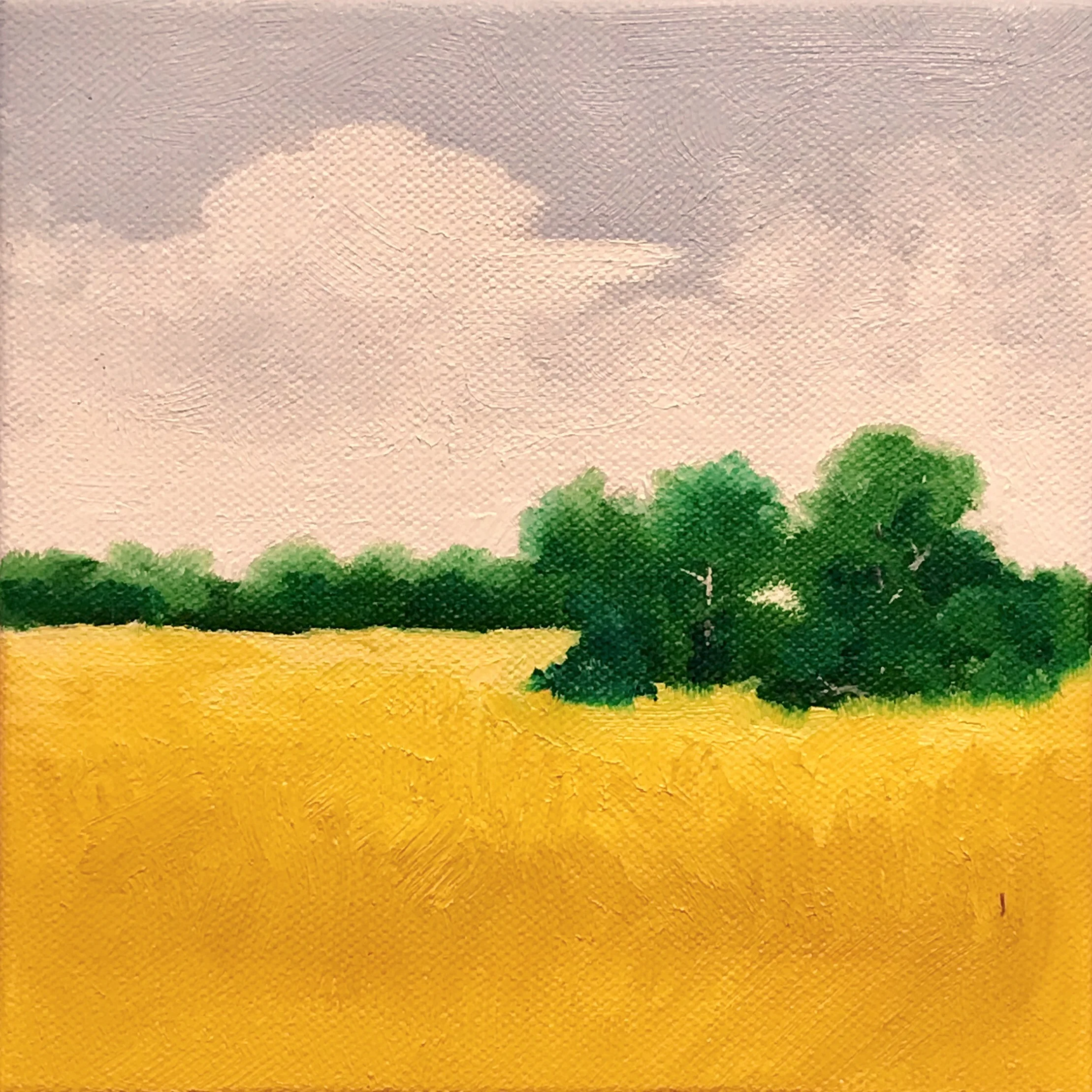 Summer's Heat in Ohio II