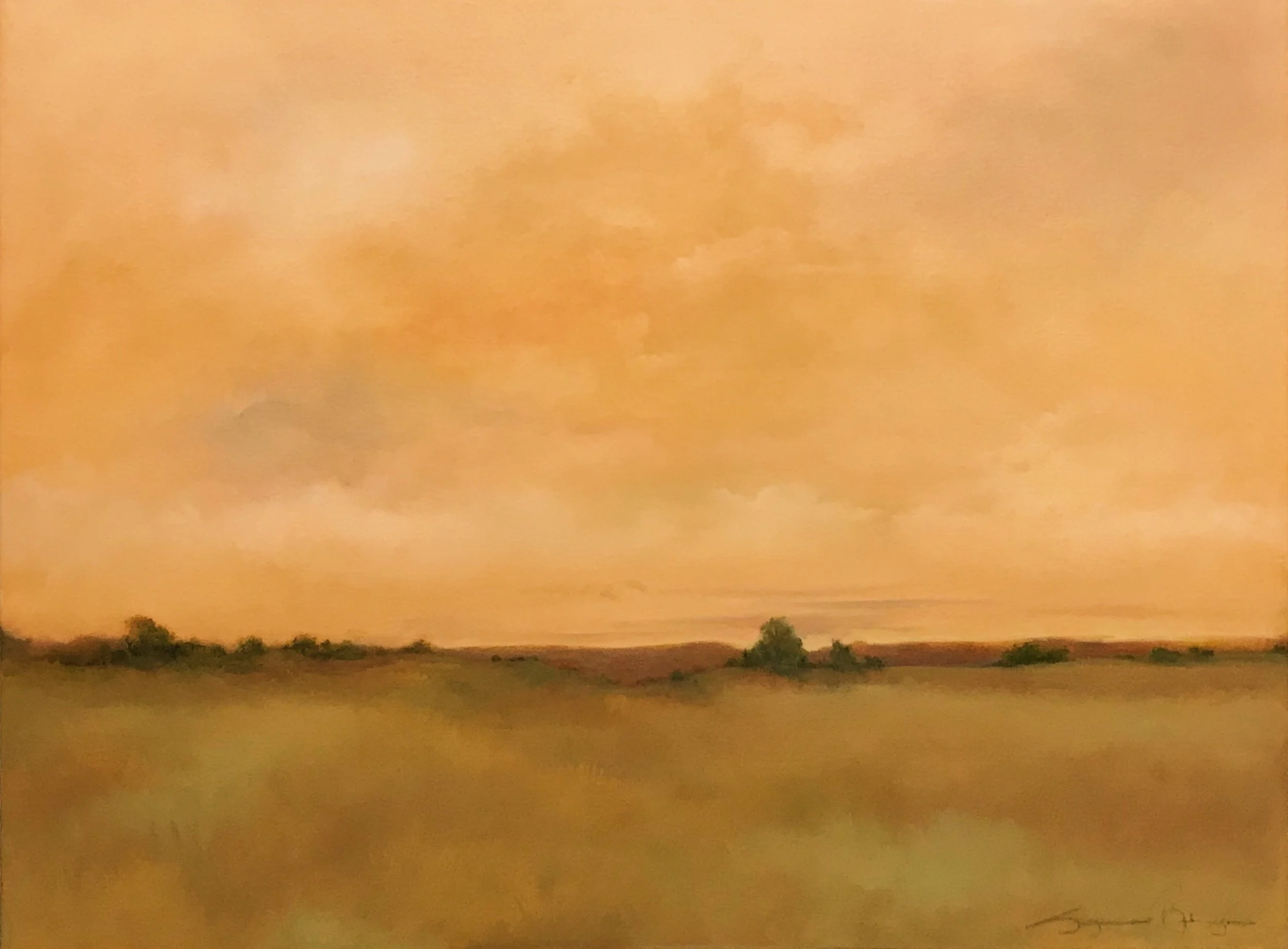 Pleasures of a Summer Evening
