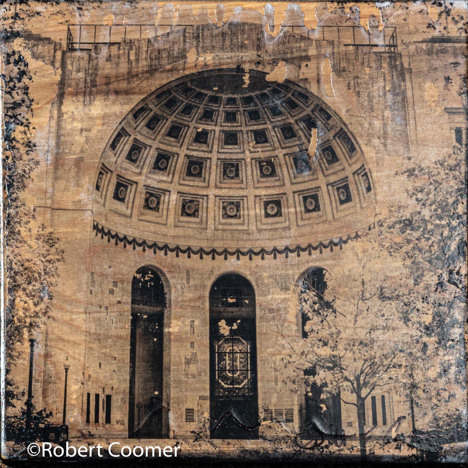 RobertCoomer_HayleyWoodDecay2020_OSU_Dome-2.jpg