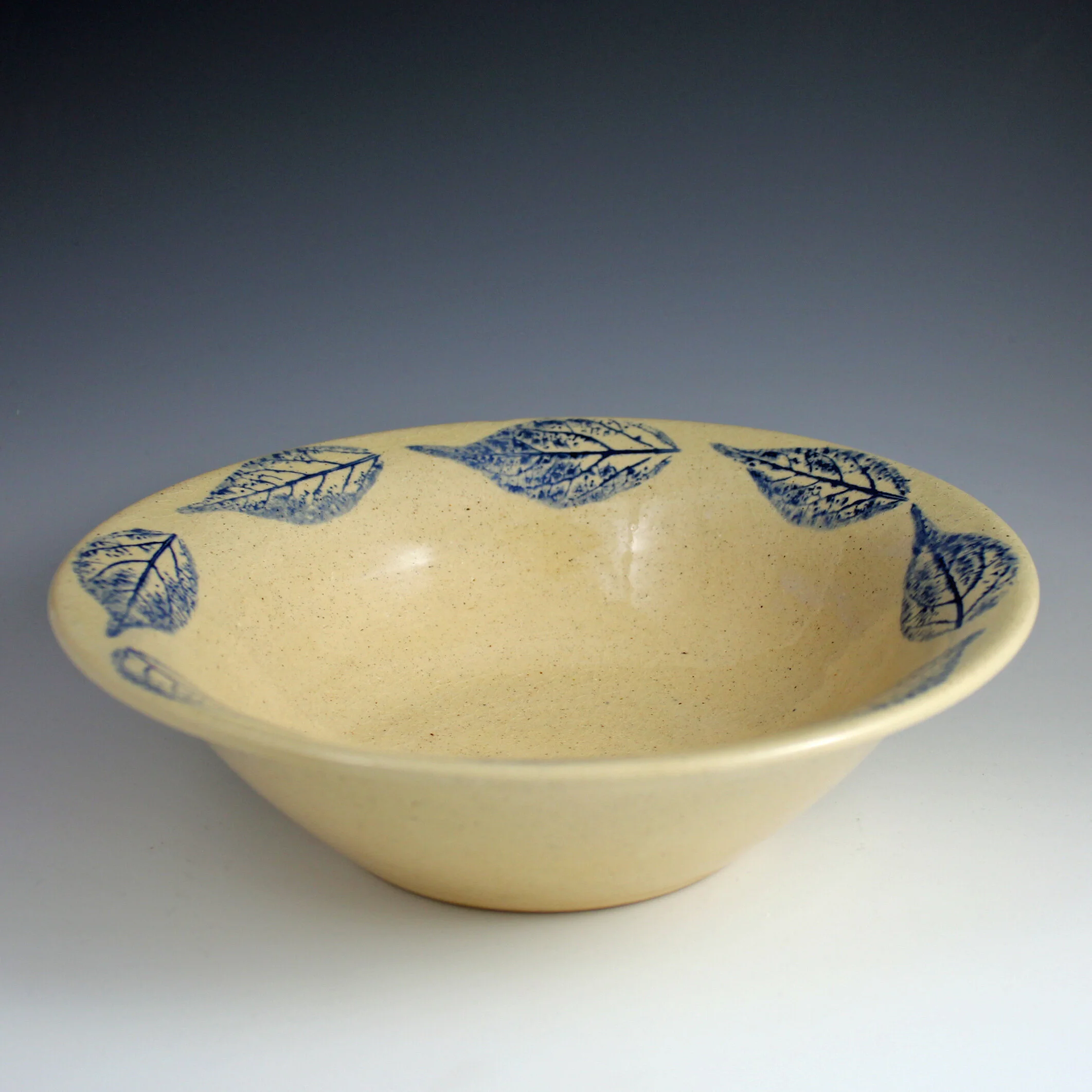 Bsvbowl3.a.sq.jpg