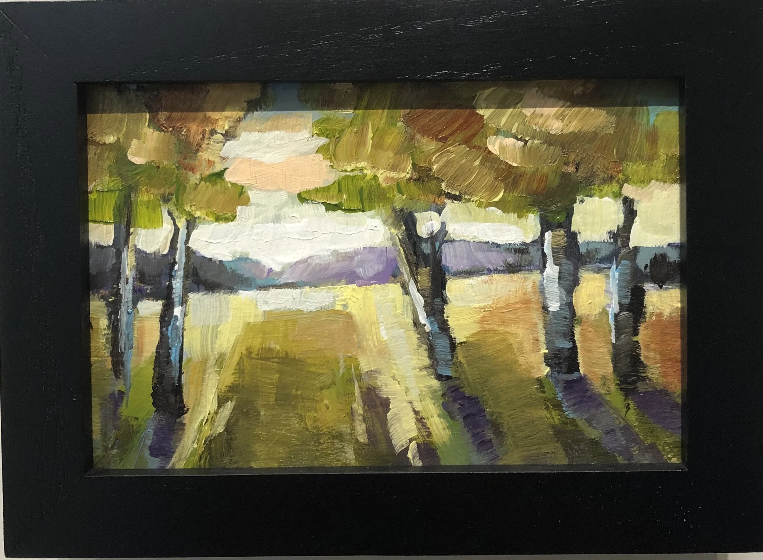 Shadow Study